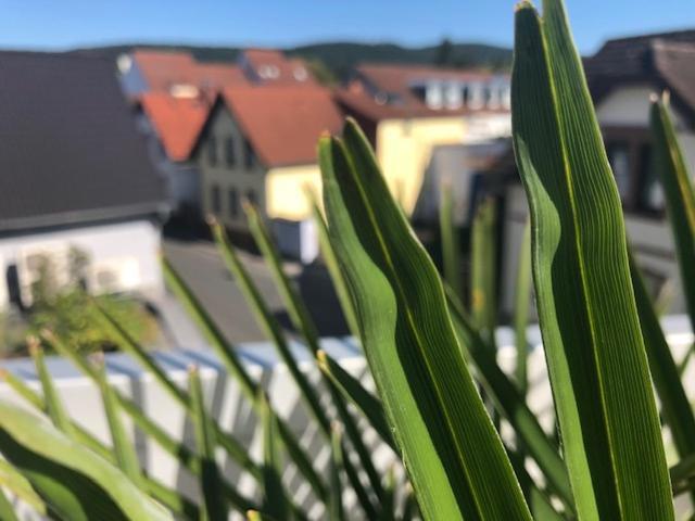 Wohnen Beim Brotsommelier - Alpenkruste Apartment Darmstadt Exterior foto